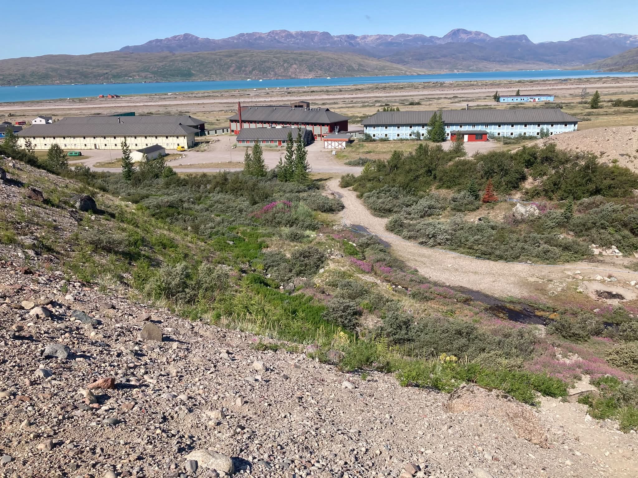 Bebyggelse i Narsarsuaq med fjorden i baggrunden