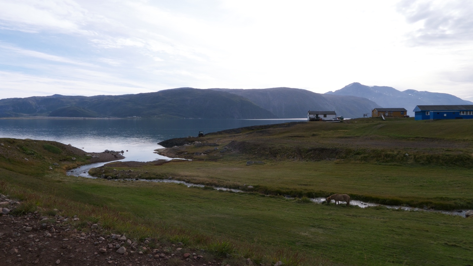 Qassiarsuks bygninger, græsarealer og fjord